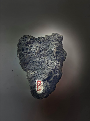 Thông tin hiện vật trưng bày tại LAVA - Khám phá di sản địa chất